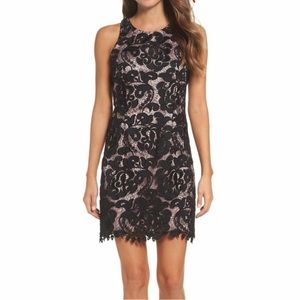 Eliza J Black Lace Dress (Petite)